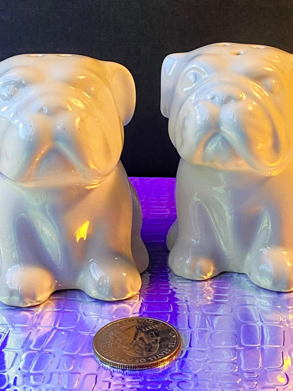 Ceramic Bulldog Salt and Pepper Shakers - White
